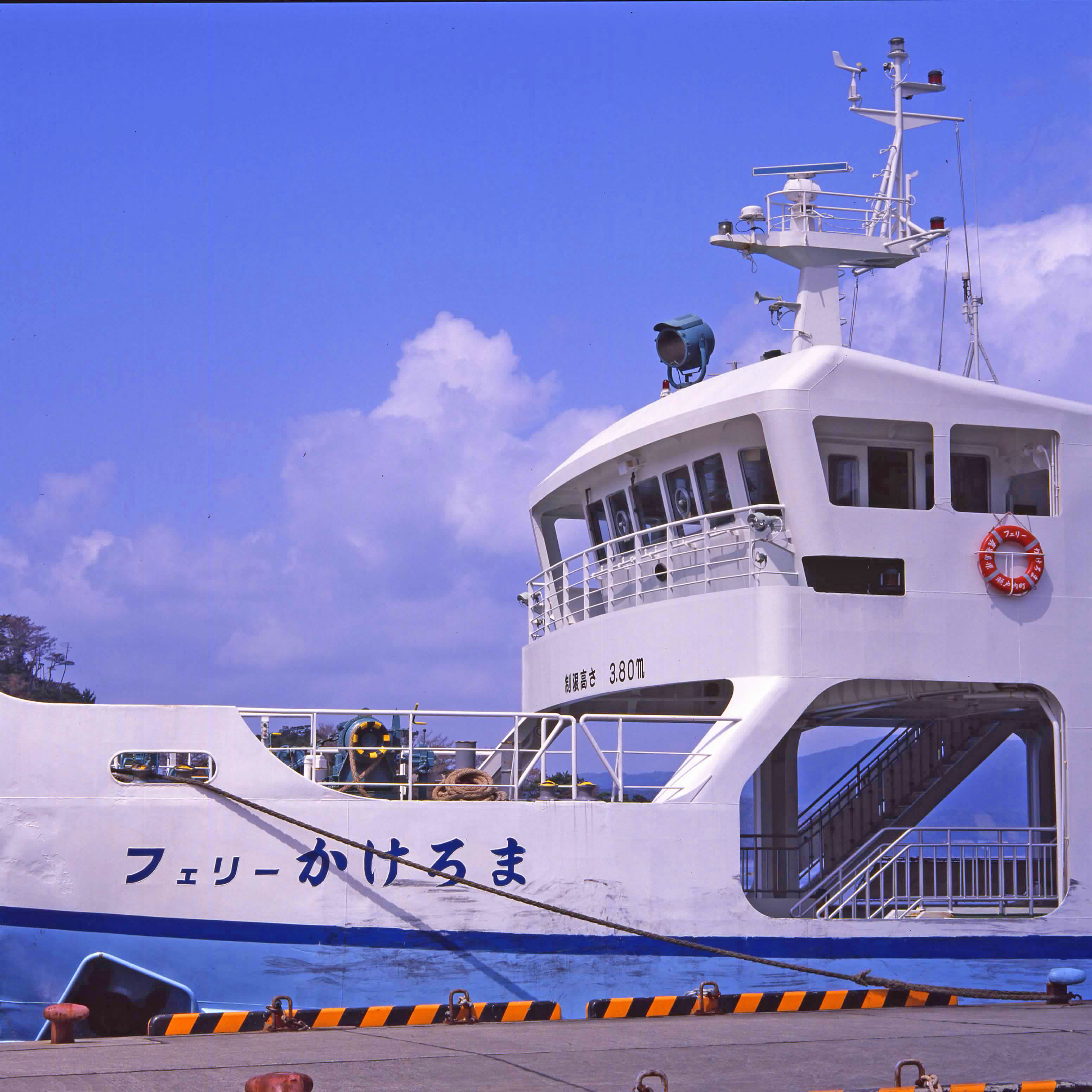 ハッセル　奄美大島